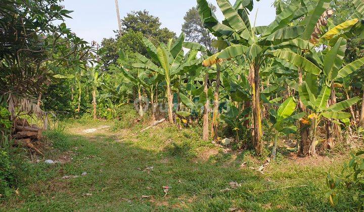 Tanah Ngantong Diarea Beji Depok Cocok Untuk Perumahan & Cluster Nempel Toll Deseri 2