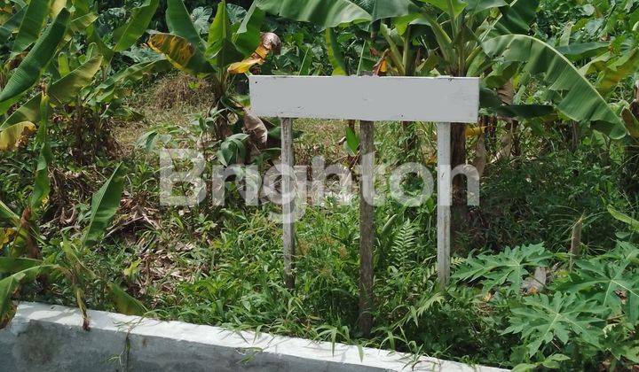 tanah rata di dekat kantor kelurahan dan pasar tradisional  1