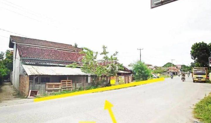 Tanah murah dipinggir jalan utama Alimudin Umar Campang Raya Bandarlampung 2