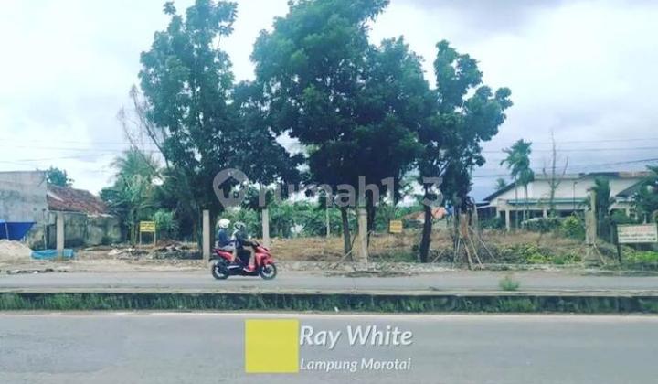 Tanah murah jalan Soekarno-Hatta dalam kota Bandarlampung