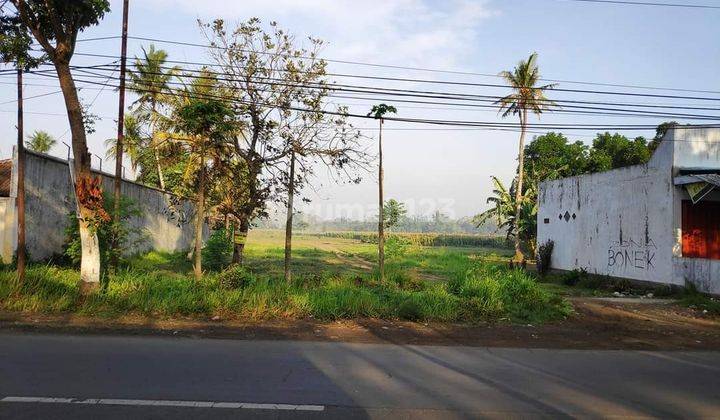 TANAH MURAH STRATEGIS PINGGIR JALAN UTAMA DAERAH JENGGAWAH 2