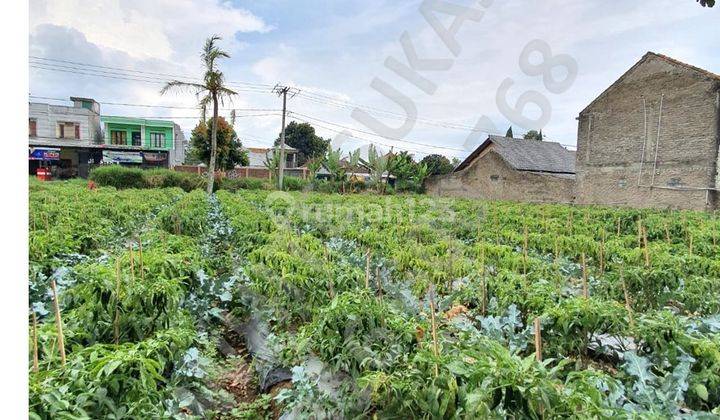 tanah di Mainroad daerah Ciwaruga 2