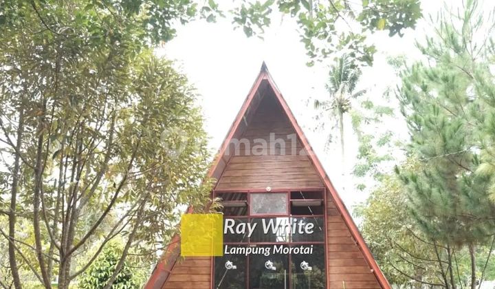 Villa dan Taman Rekreasi Hampir 5 Hektar