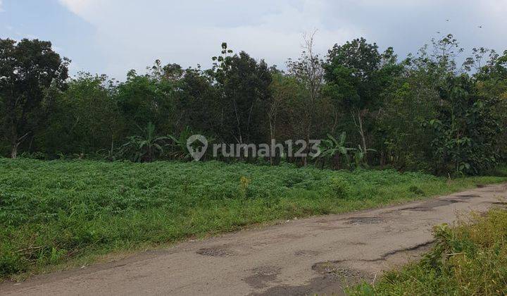 Tanah di Desa Rulung Raya Natar Lampung Selatan 2