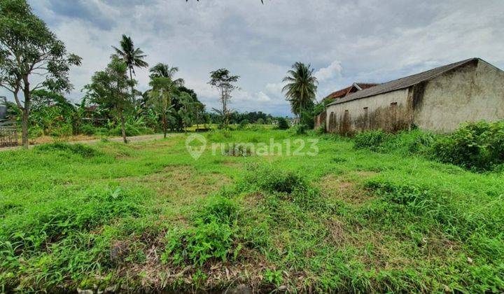 TANAH KAVLING MURAH LOKASI STRATEGIS DEKAT TRANSMART & ROXY JEMBER 2