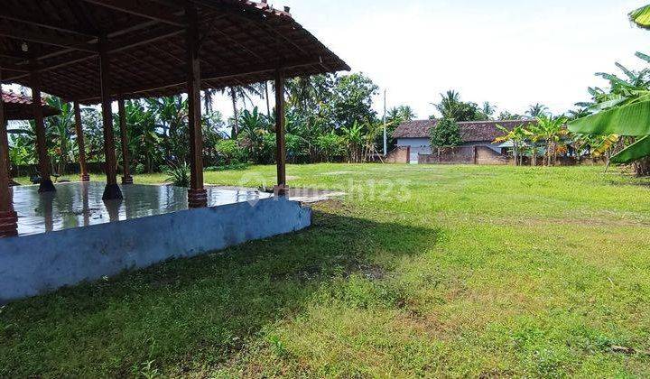 Tanah Luas Dengan Joglo Dan Gudang di Sentolo, Kulonprogo 1