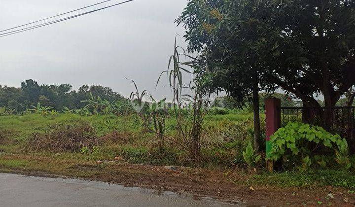 Tanah Industri Strategis di Jalan Raya Kedawung Cipendeuy Subang 2