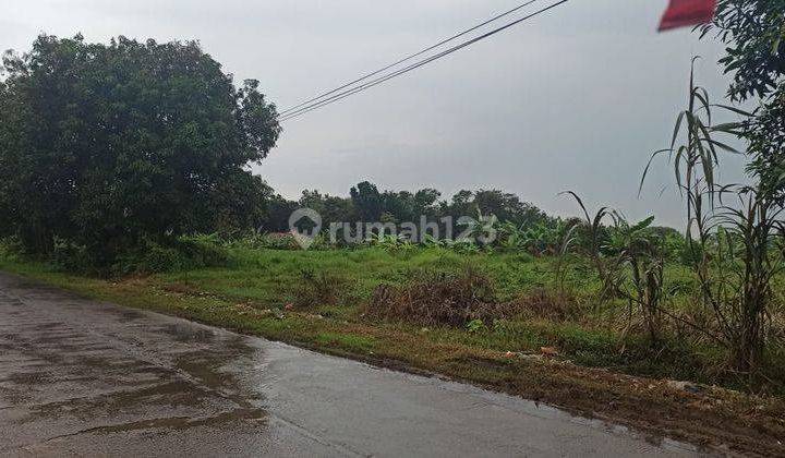 Tanah Industri Strategis di Jalan Raya Kedawung Cipendeuy Subang 1