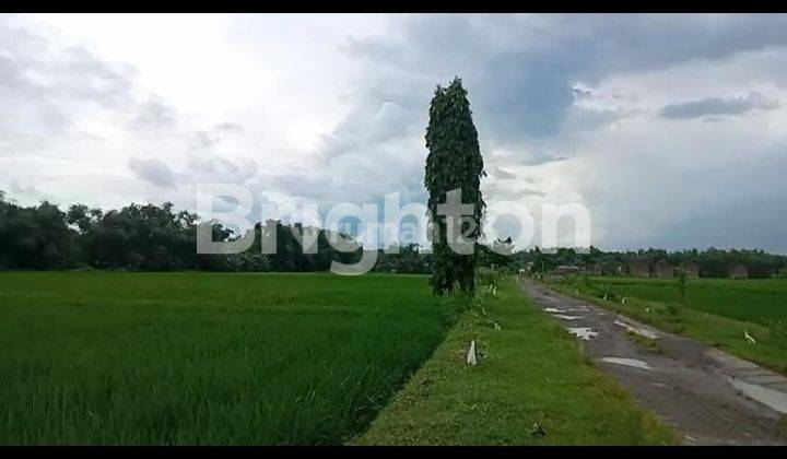 Tanah Plot Industri 2 hektar  di Kabuh Jombang 1