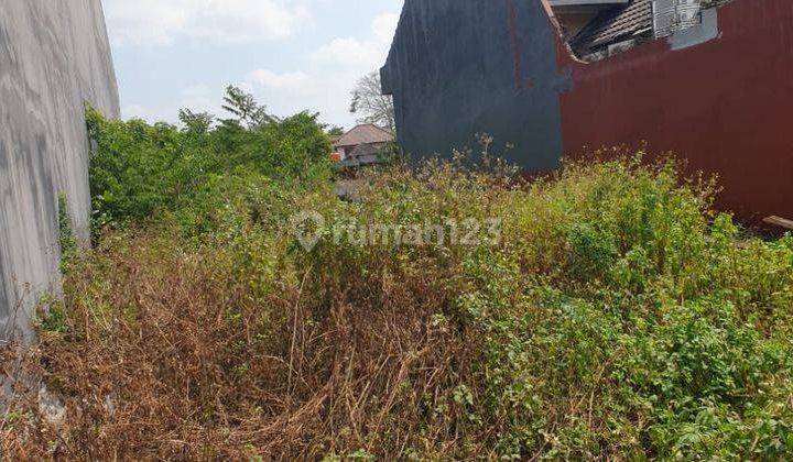 Dijual Murah Tanah Semeru dekat istana buah  2