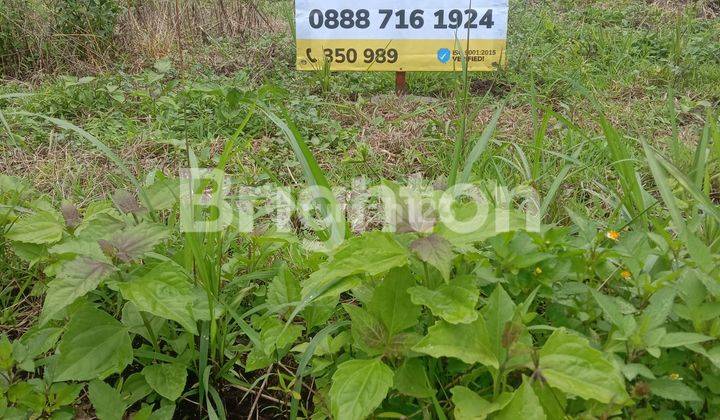 KAVLING MURAH SHM TERLETAK DI DEKAT RUMAH SAKIT BAPTIS BATU 1