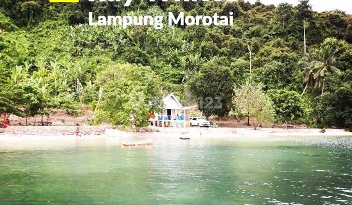 MURAH TANAH PANTAI DI DESA PAGAR JAYA PESAWARAN 2