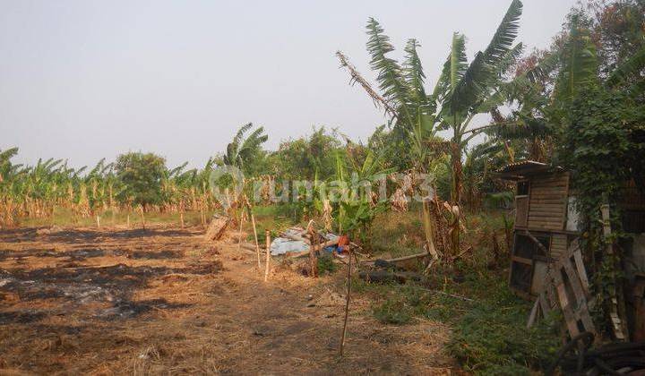 Dijual Cepat Tanah Komersil di Cengkareng Jakarta Barat Dijual Cepat Tanah Komersil di Cengkareng Jakarta Barat