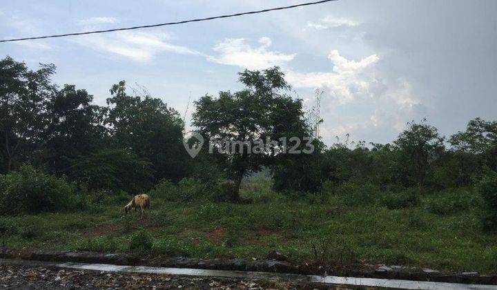 Cepat murah tanah siap bangun ciparungsari purwakarta jawa barat 2