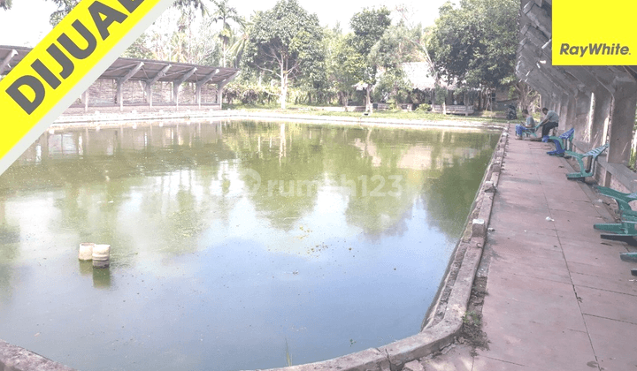 TANAH MURAH di Kalianda 1