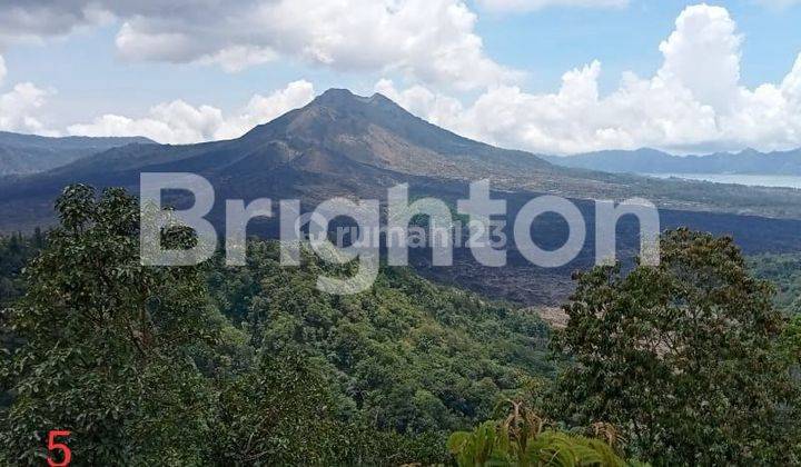 LAND IN VERY STRATEGIC LOCATION on the side of the main road Batur Kintamani 1