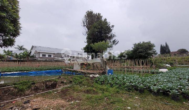 Good Deal Tanah Lembang Mainroad Murah Good Deal Tanah Lembang Mainroad Murah