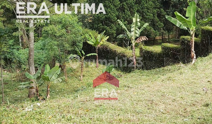Strategic, Expansive Land Suitable for Villa Homes in Dago