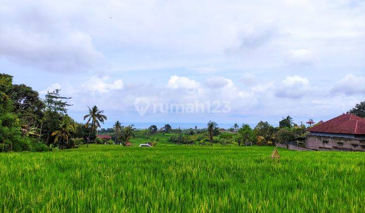 FREEHOLD OCEAN VIEW LAND IN LOVINA 2