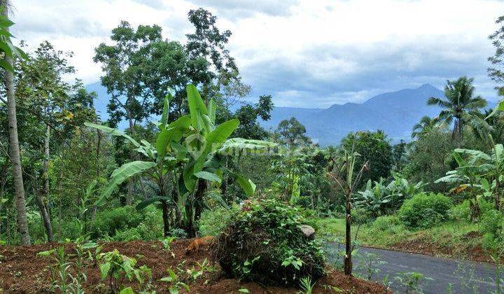 Tanah 456 m² di Blotongan SHM depan UKSW baru 2