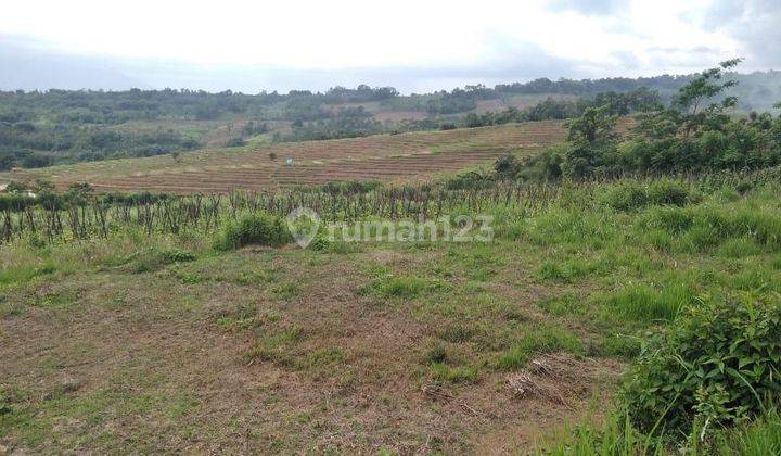 Tanah Strategis Dekat Jalan Raya Di Cariu Bogor S6268 2