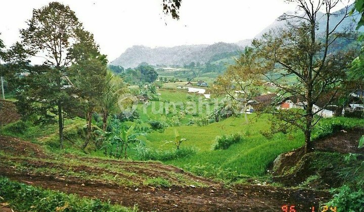 LAHAN DENGAN SUMBER AIR DI TRAWAS