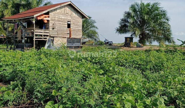 Tanah Murah Kawasan Industri Di Kumpeh Uluh Muaro Jambi 1