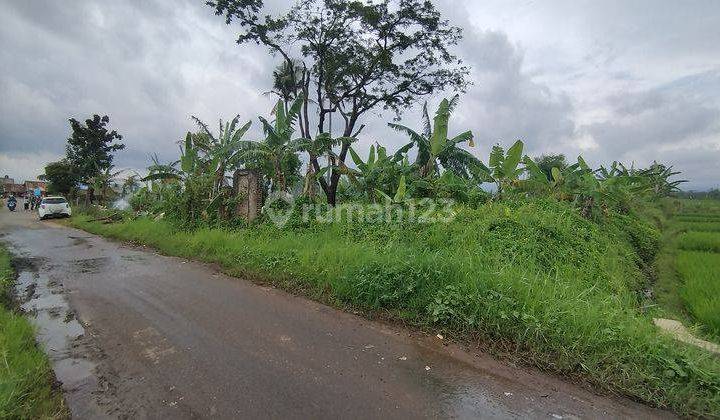 Tanah Strategis Seluas 6.385 m² di Limbangansari Cianjur 1