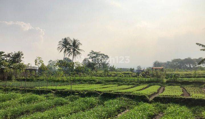 Tanah Produktif Bonus Bangunan 16000m2 Di Nagrak Cianjur Kota 2