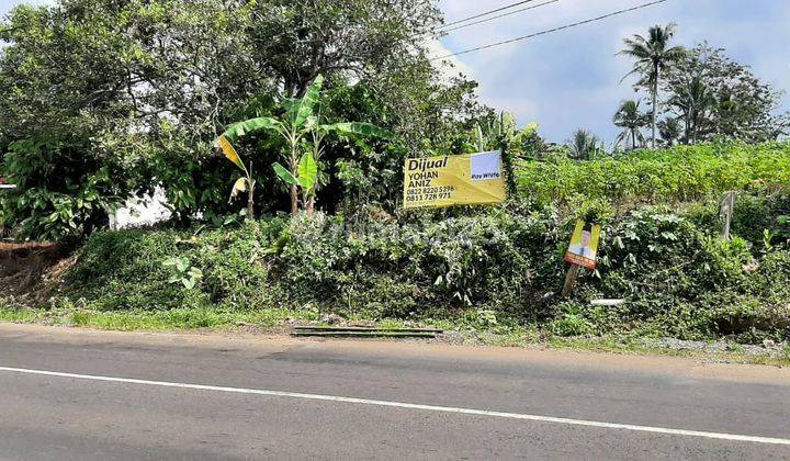 Tanah Pinggir Jalan Lintas Barat Gedong Tataan,Lampung Selatan 1