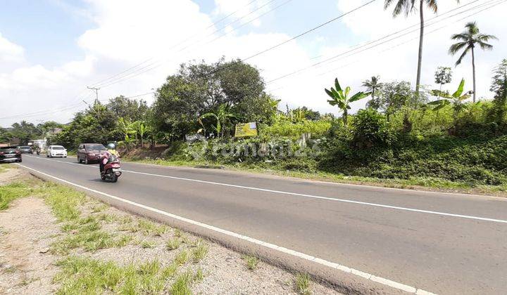 Tanah Pinggir Jalan Lintas Barat Gedong Tataan,Lampung Selatan 2