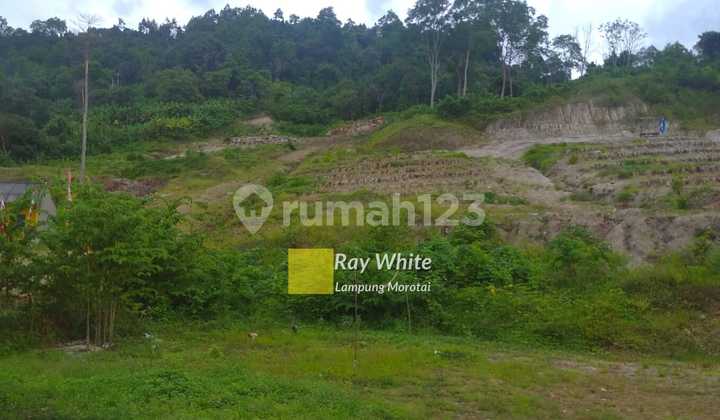 Tanah Siap Bangun View Gunung