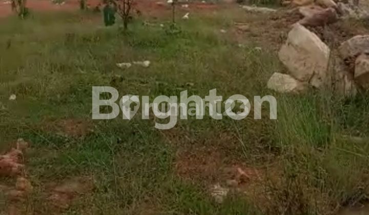 MURAH BEBAS BANJIR DAN LOKASI  BERKEMBANG