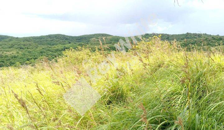 Tanah Potensi Wisata View Tebing Dan Laut Di Nusa Penida Bali 1