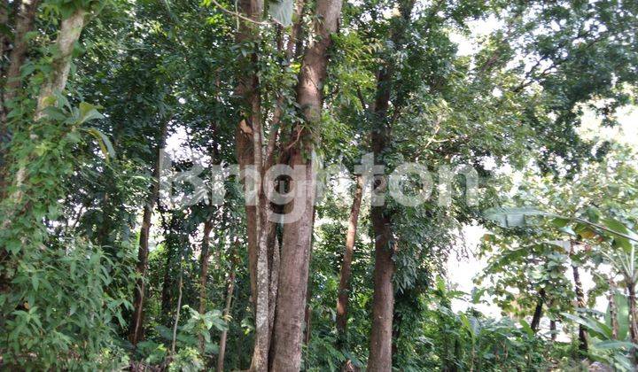 TANAH AREA PERUMAHAN: TAMAN BERINGIN ELOK, BALE NIRVANA, GRIYA LESTARI NGALIYAN. SELANGKAH TOL SEMARANG BATANG. 2