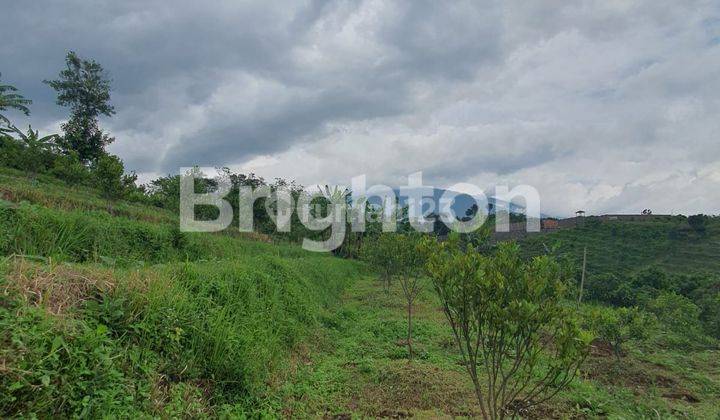 Tanah luas belakang cafe sundul langit ds Bumiaji kota Batu 2