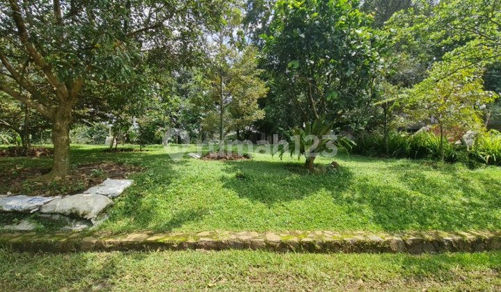 Tanah Dekat Stasiun Dan Strategi Cijeruk Bogor