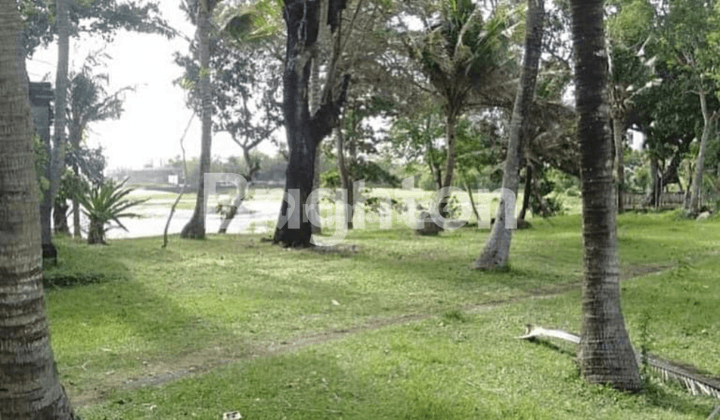 Tanah langka dekat pantai kayu putih berawa Canggu di bali 2