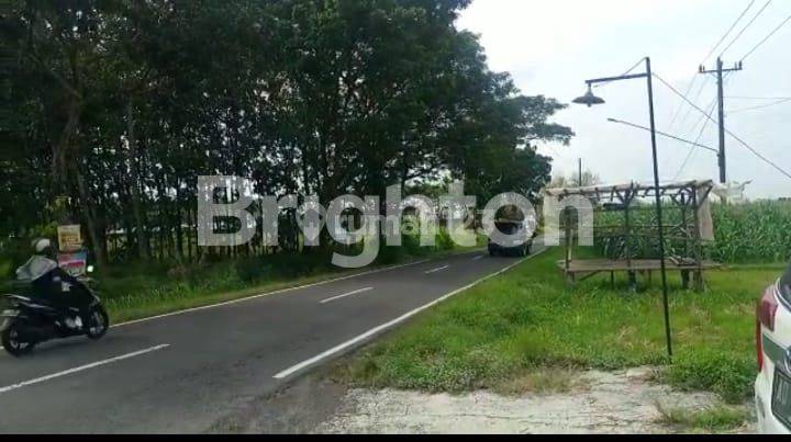 TANAH INDUSTRI DEKAT JALAN SOLO YOGYA 1