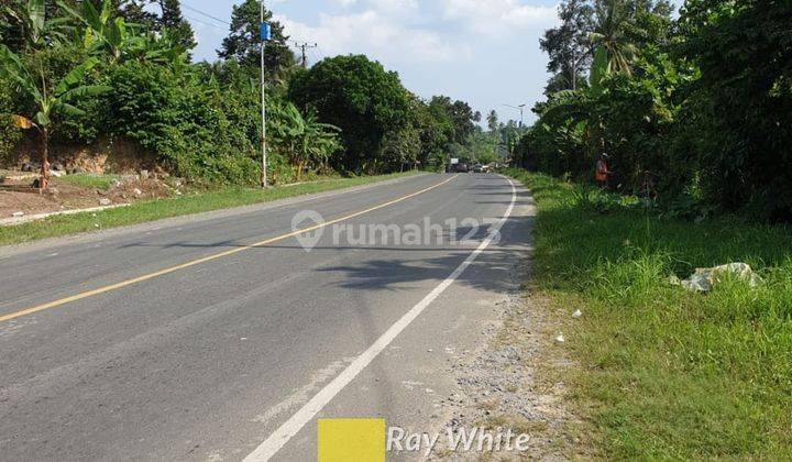 Tanah Perkebunan 2