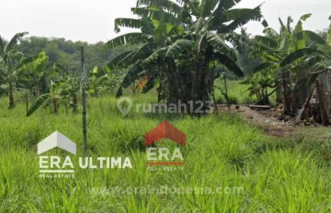 Tanah Cocok Untuk Usaha dan Investasi di Soreang 2