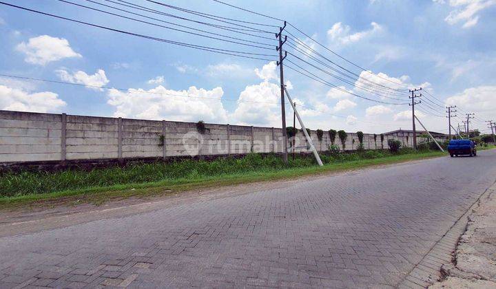 Tanah di Driyorejo Gresik, Luas 120 x 550 m2 SHGB 2