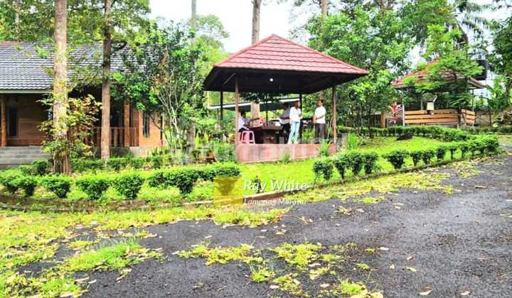 Tanah Bonus Villa dan Taman Durian ay