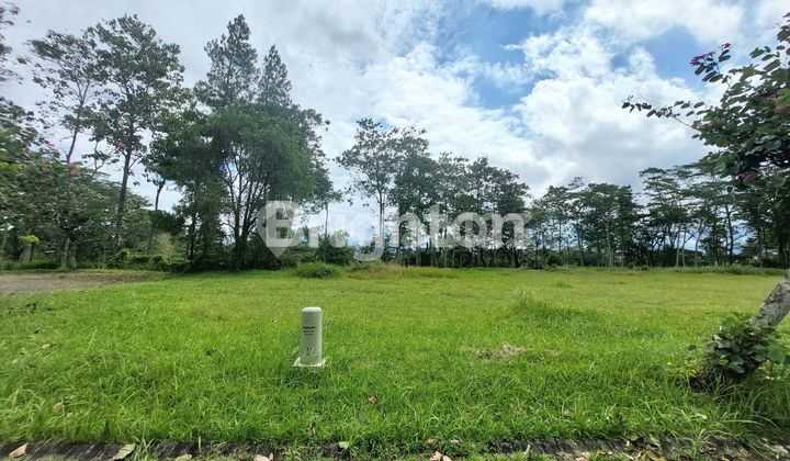 TANAH LUAS VIEW GOLF ARAYA MALANG TANAH LUAS VIEW GOLF ARAYA MALANG