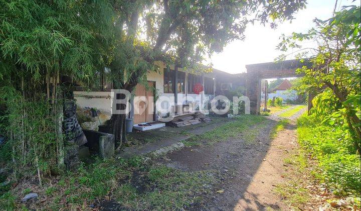 Tanah langka di padang linjong dekat echo beach canggu bali 2