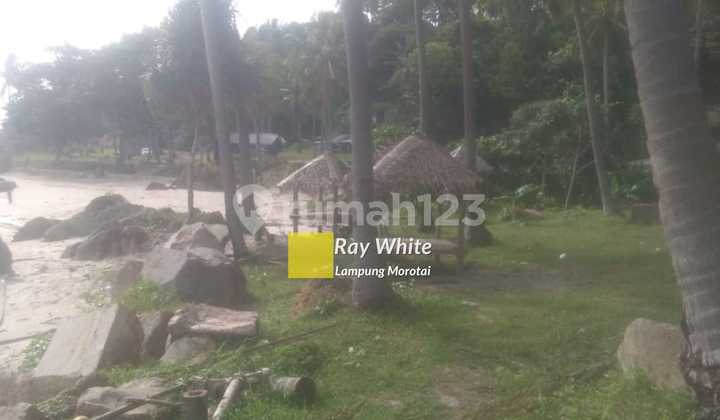 Tanah Tepi Pantai bd