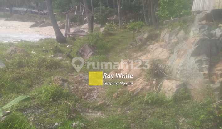 Tanah Tepi Pantai bd