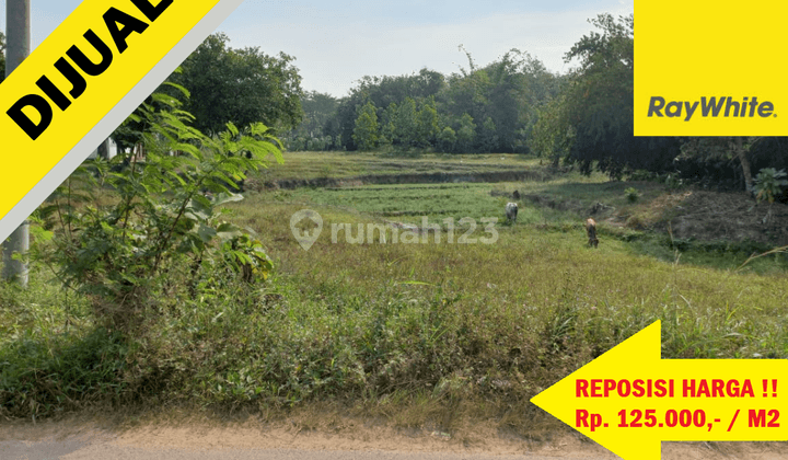 Tanah Muara Putih,Natar 1