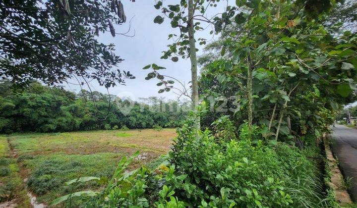 Tanah Strategis Akses Jalan Truk di Raya Mijen Semarang 2