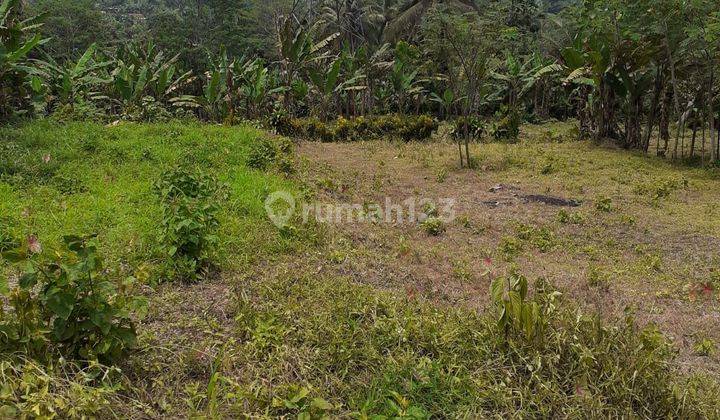 Kavling Tanah Subur dan Lahan Banyak Manfaat @Kp. Leuwi Bolang, Cikembar, Sukabumi 2